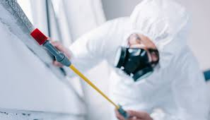 Best Real Estate Pest Inspections  in Hays, NC